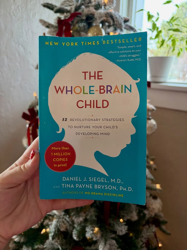 The Whole Brain Child by Daniel J. Siegel and Tina Payne Bryson